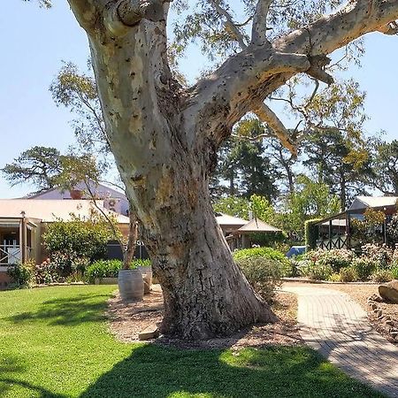 Longview Vineyard Bed & Breakfast Macclesfield Bagian luar foto