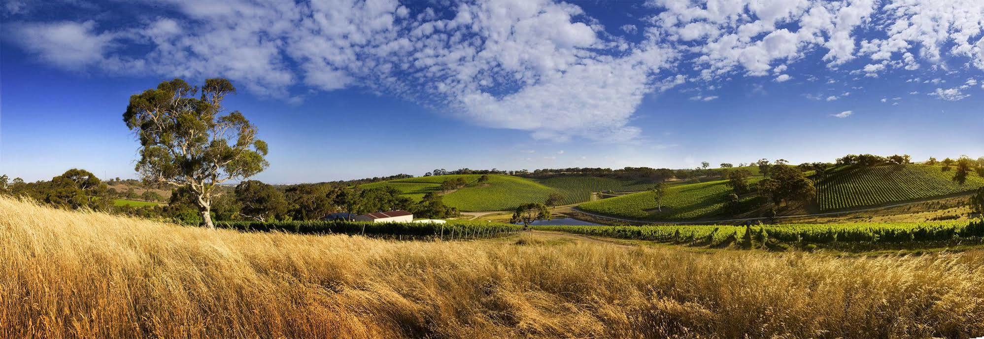 Longview Vineyard Bed & Breakfast Macclesfield Bagian luar foto